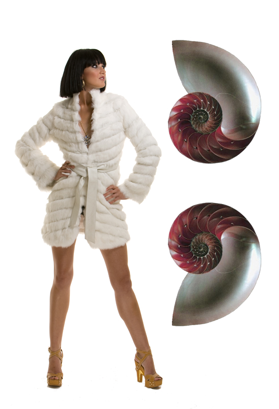 Fashion: nautilus, fotografia di Enrico Cortesano